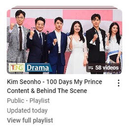 100 Days My Prince